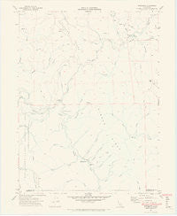 Briceland California Historical topographic map, 1:24000 scale, 7.5 X 7.5 Minute, Year 1969