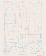 Bruceville California Historical topographic map, 1:24000 scale, 7.5 X 7.5 Minute, Year 1968