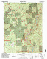 Brush Creek California Historical topographic map, 1:24000 scale, 7.5 X 7.5 Minute, Year 1994
