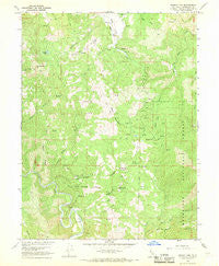 Brushy Mtn California Historical topographic map, 1:24000 scale, 7.5 X 7.5 Minute, Year 1966