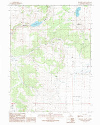 Buckhorn Canyon California Historical topographic map, 1:24000 scale, 7.5 X 7.5 Minute, Year 1989