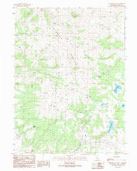 Buckhorn Lake California Historical topographic map, 1:24000 scale, 7.5 X 7.5 Minute, Year 1989