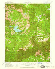 Bucks Lake California Historical topographic map, 1:62500 scale, 15 X 15 Minute, Year 1950