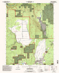 Burney California Historical topographic map, 1:24000 scale, 7.5 X 7.5 Minute, Year 1995