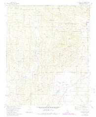 Cahuilla Mtn California Historical topographic map, 1:24000 scale, 7.5 X 7.5 Minute, Year 1981