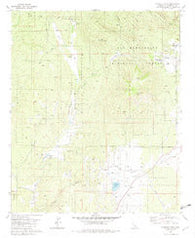 Cahuilla Mtn California Historical topographic map, 1:24000 scale, 7.5 X 7.5 Minute, Year 1981