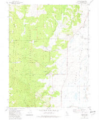 Calpine California Historical topographic map, 1:24000 scale, 7.5 X 7.5 Minute, Year 1981