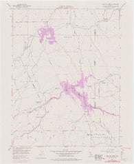 Camp Far West California Historical topographic map, 1:24000 scale, 7.5 X 7.5 Minute, Year 1949