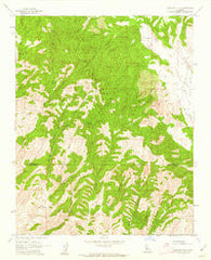 Cholame Hills California Historical topographic map, 1:24000 scale, 7.5 X 7.5 Minute, Year 1961