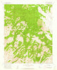 Cholame Hills California Historical topographic map, 1:24000 scale, 7.5 X 7.5 Minute, Year 1961