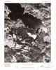 Clearlake Highlands California Historical topographic map, 1:24000 scale, 7.5 X 7.5 Minute, Year 1977