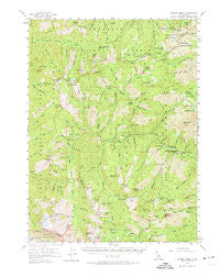 Coffee Creek California Historical topographic map, 1:62500 scale, 15 X 15 Minute, Year 1955