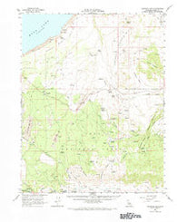 Cowtrack Mtn California Historical topographic map, 1:62500 scale, 15 X 15 Minute, Year 1962