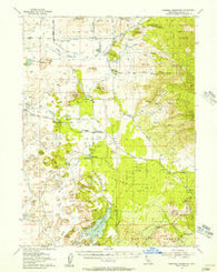 Dwinnell Reservoir California Historical topographic map, 1:62500 scale, 15 X 15 Minute, Year 1954