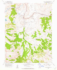 Fales Hot Springs California Historical topographic map, 1:24000 scale, 7.5 X 7.5 Minute, Year 1954
