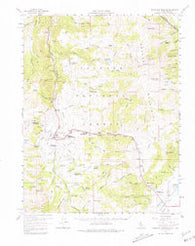 Fales Hot Springs California Historical topographic map, 1:62500 scale, 15 X 15 Minute, Year 1956