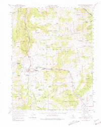 Fales Hot Springs California Historical topographic map, 1:62500 scale, 15 X 15 Minute, Year 1956