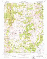 Fales Hot Springs California Historical topographic map, 1:62500 scale, 15 X 15 Minute, Year 1956