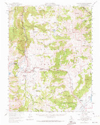 Fales Hot Springs California Historical topographic map, 1:62500 scale, 15 X 15 Minute, Year 1956