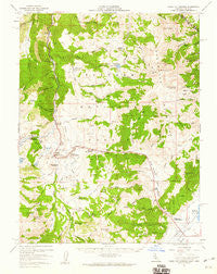 Fales Hot Springs California Historical topographic map, 1:62500 scale, 15 X 15 Minute, Year 1956