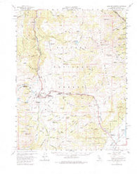 Fales Hot Springs California Historical topographic map, 1:62500 scale, 15 X 15 Minute, Year 1956