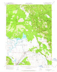 Fall River Mills California Historical topographic map, 1:62500 scale, 15 X 15 Minute, Year 1961