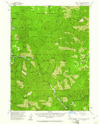 Forks of Salmon California Historical topographic map, 1:62500 scale, 15 X 15 Minute, Year 1955