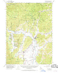 Fort Jones California Historical topographic map, 1:62500 scale, 15 X 15 Minute, Year 1955