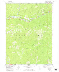 Gasquet California Historical topographic map, 1:24000 scale, 7.5 X 7.5 Minute, Year 1981
