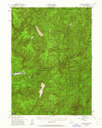 Gasquet California Historical topographic map, 1:62500 scale, 15 X 15 Minute, Year 1951