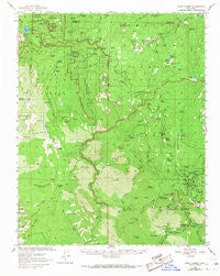 Giant Forest California Historical topographic map, 1:62500 scale, 15 X 15 Minute, Year 1956