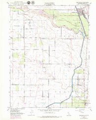 Hamilton City California Historical topographic map, 1:24000 scale, 7.5 X 7.5 Minute, Year 1949