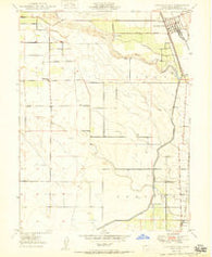 Hamilton City California Historical topographic map, 1:24000 scale, 7.5 X 7.5 Minute, Year 1950