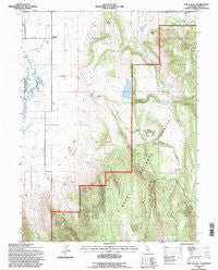 Hog Valley California Historical topographic map, 1:24000 scale, 7.5 X 7.5 Minute, Year 1993