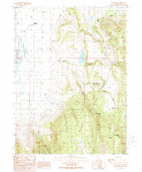 Hog Valley California Historical topographic map, 1:24000 scale, 7.5 X 7.5 Minute, Year 1990