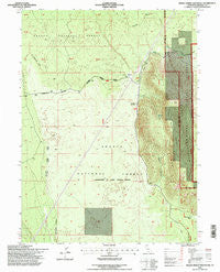 Indian Spring Mountain California Historical topographic map, 1:24000 scale, 7.5 X 7.5 Minute, Year 1995