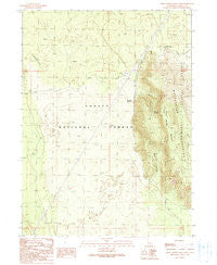 Indian Spring Mountain California Historical topographic map, 1:24000 scale, 7.5 X 7.5 Minute, Year 1990