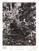 Kelseyville California Historical topographic map, 1:24000 scale, 7.5 X 7.5 Minute, Year 1974