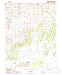 Kirkwood Spring California Historical topographic map, 1:24000 scale, 7.5 X 7.5 Minute, Year 1989