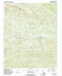 Lion Canyon California Historical topographic map, 1:24000 scale, 7.5 X 7.5 Minute, Year 1991