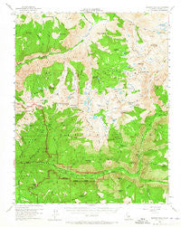 Marion Peak California Historical topographic map, 1:62500 scale, 15 X 15 Minute, Year 1953