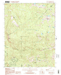 Mariposa Grove California Historical topographic map, 1:24000 scale, 7.5 X 7.5 Minute, Year 1992