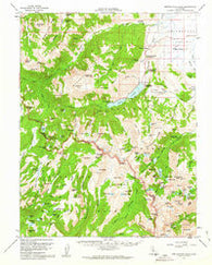 Matterhorn Peak California Historical topographic map, 1:62500 scale, 15 X 15 Minute, Year 1956