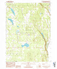 Mc Ginty Reservoir California Historical topographic map, 1:24000 scale, 7.5 X 7.5 Minute, Year 1990