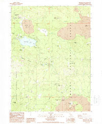 Medicine Lake California Historical topographic map, 1:24000 scale, 7.5 X 7.5 Minute, Year 1988