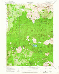 Medicine Lake California Historical topographic map, 1:62500 scale, 15 X 15 Minute, Year 1952