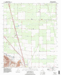Mettler California Historical topographic map, 1:24000 scale, 7.5 X 7.5 Minute, Year 1992