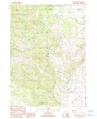 Mount Bidwell California Historical topographic map, 1:24000 scale, 7.5 X 7.5 Minute, Year 1990