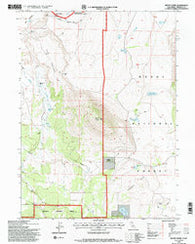 Mount Dome California Historical topographic map, 1:24000 scale, 7.5 X 7.5 Minute, Year 1993