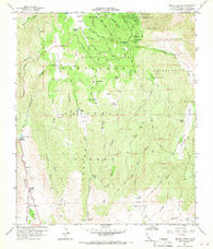 Mount Laguna California Historical topographic map, 1:24000 scale, 7.5 X 7.5 Minute, Year 1960